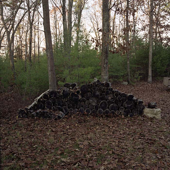 woodpile024