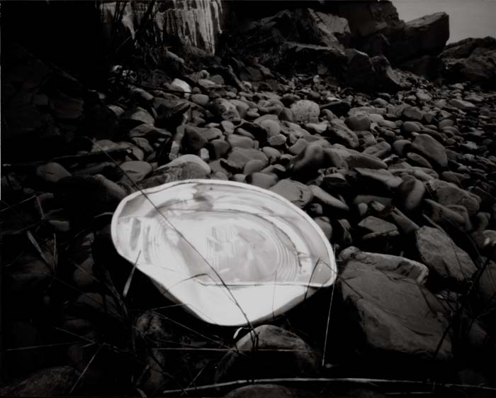 hubcap