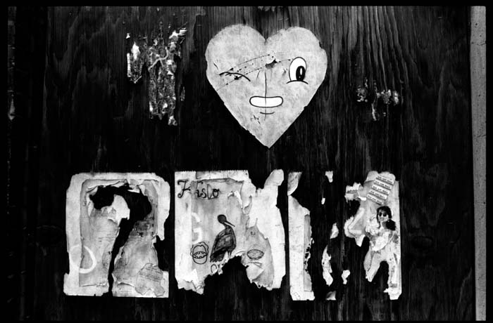 heart