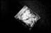 plastic bag