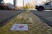 cbc newsworld