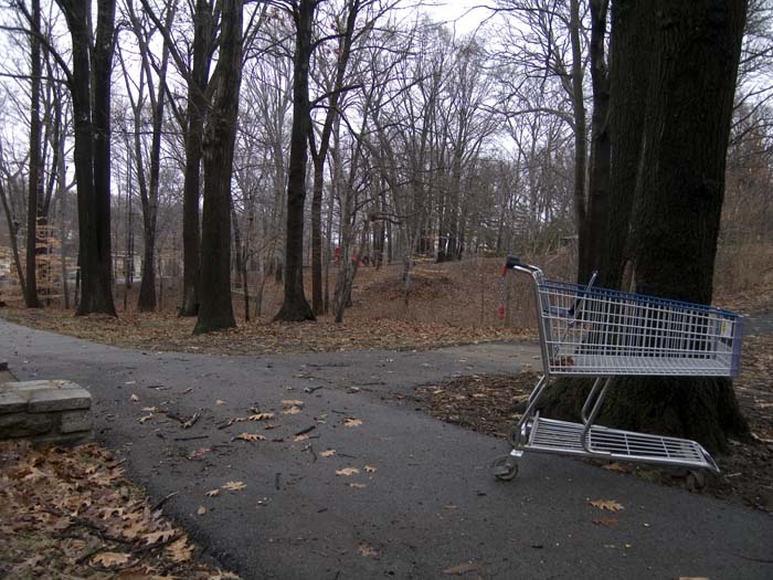 cart2