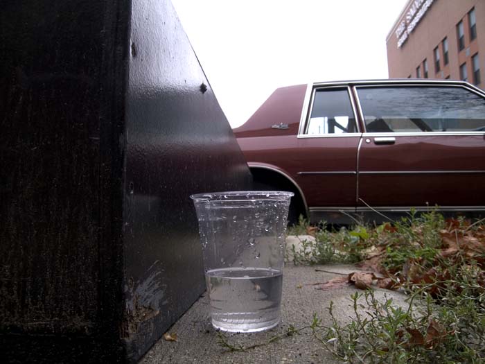 cup