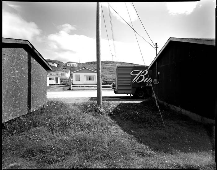 bud trout rvier - livro