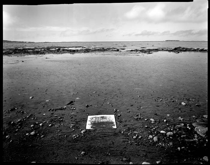 cowhead placa - livro