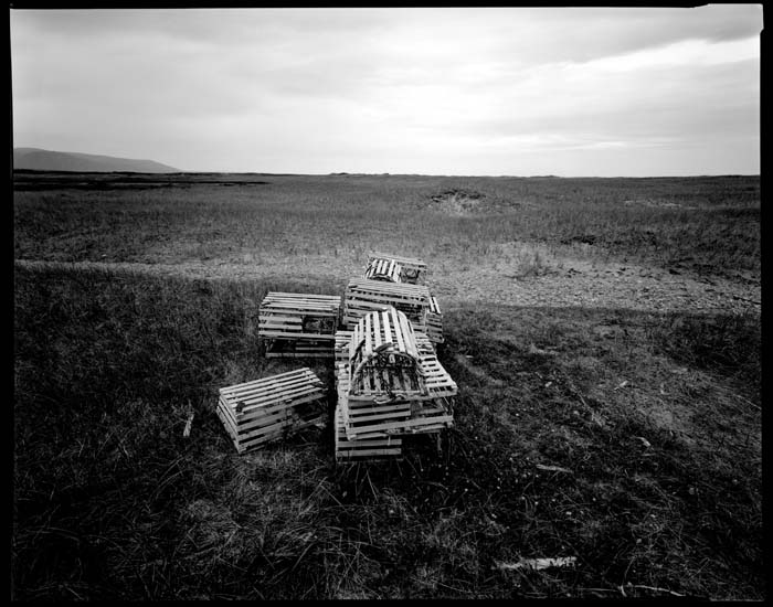 lobster pots - livro