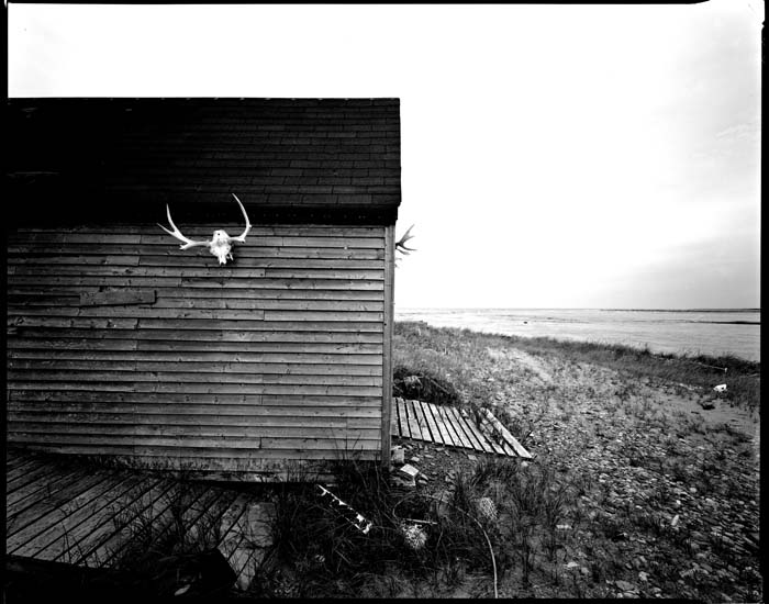 st paul's caribou - livro