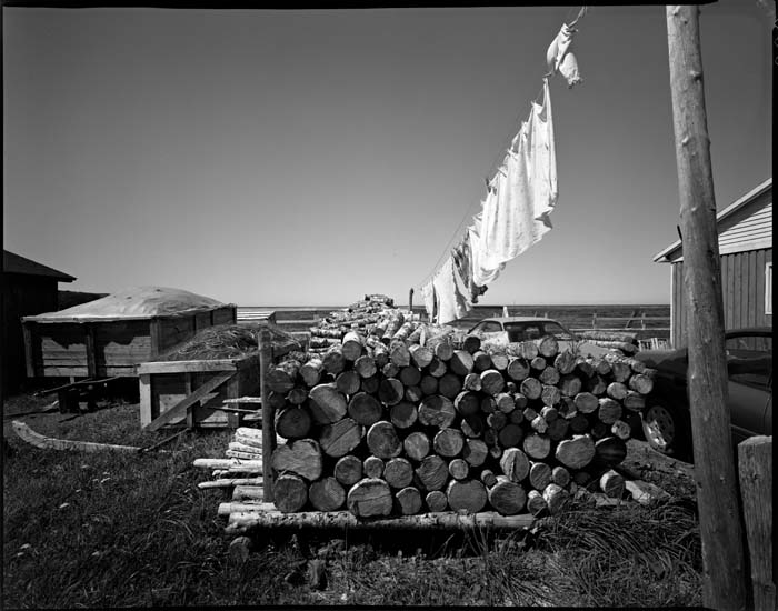 trout river - livro