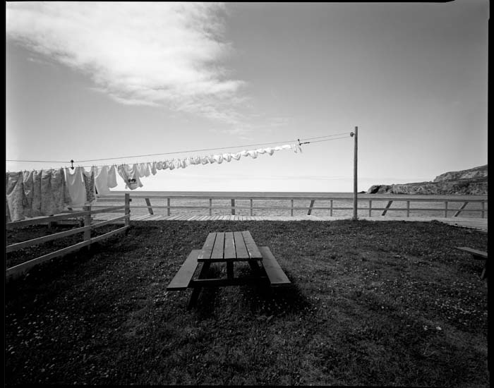 trout river laundry - 0049