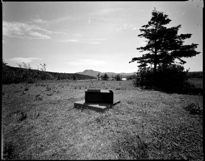 trout river-barbeque#B0016