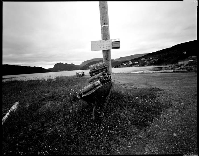woodpile woody point- 0017