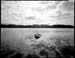 bonne bay rock