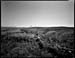 cowhead cemeterynet - 0019